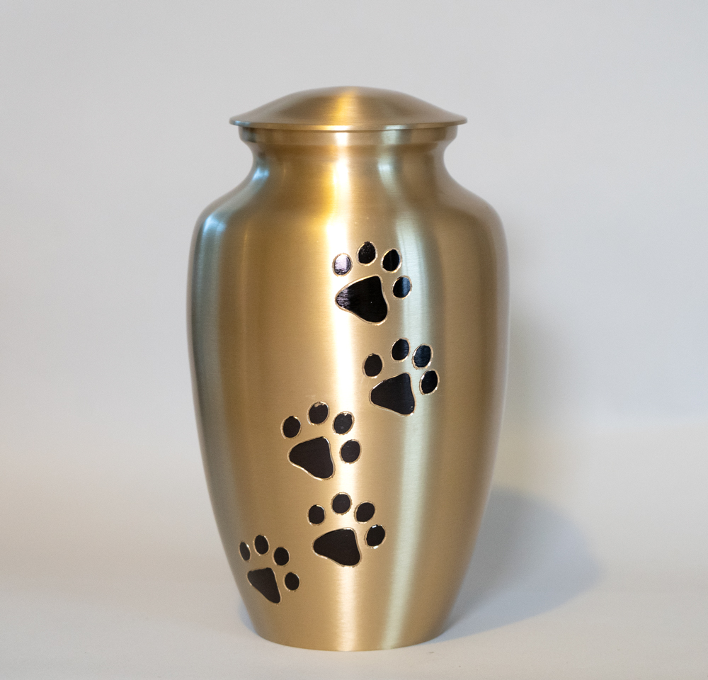 brass-paw-large