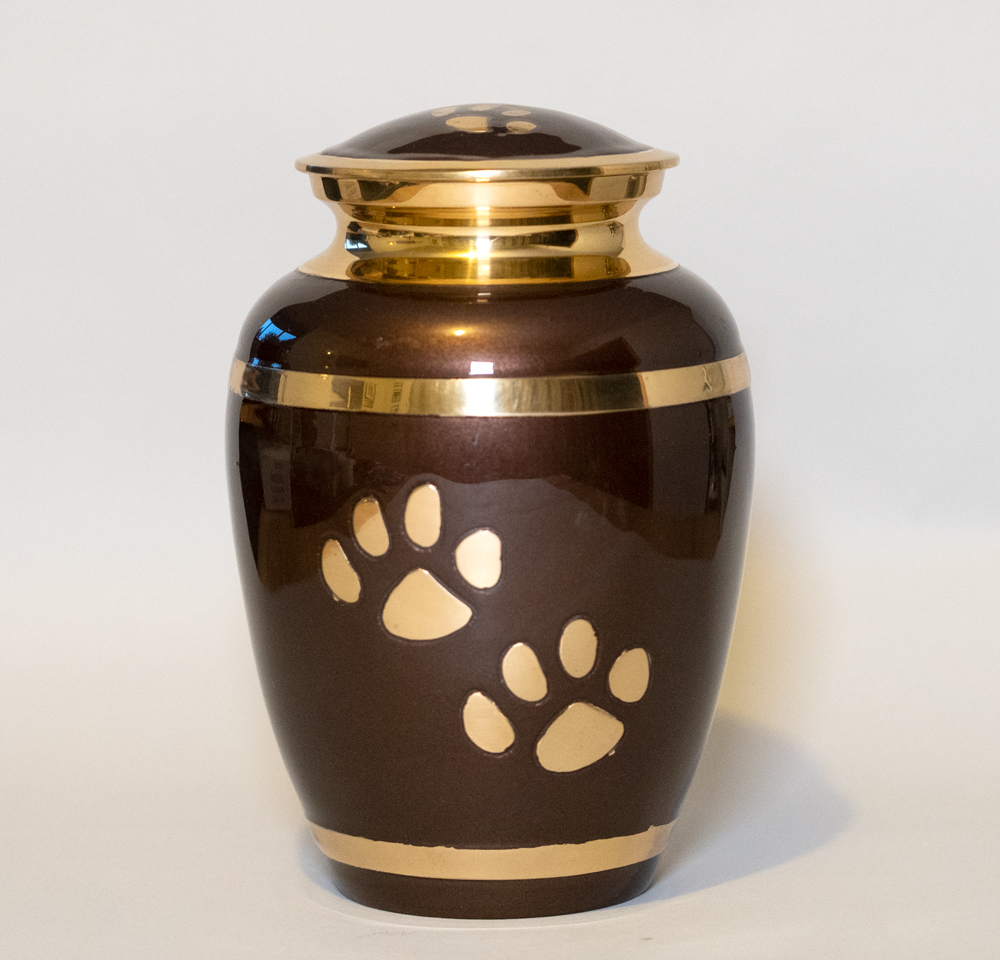 brown-paw-large