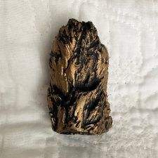 Paw Cast