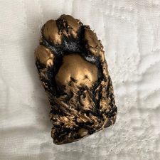 Paw Cast
