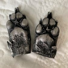 Dog Paw Cast