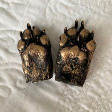 Dog Paw Cast