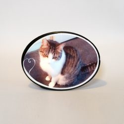Plaques-oval-2