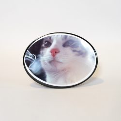 Plaques-oval