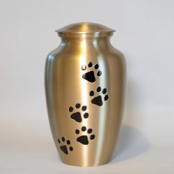brass-paw-large