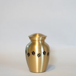 brass-paw-small