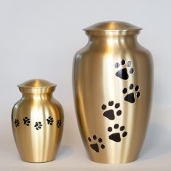 brass-paw-together