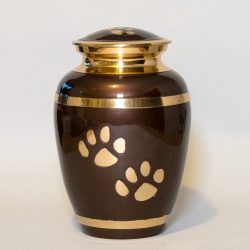 brown-paw-large