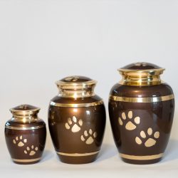 brown-paw-together