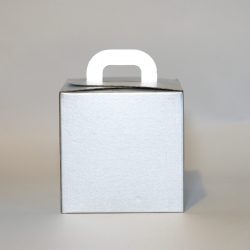 silver-box-2
