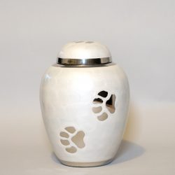 white-paw-medium