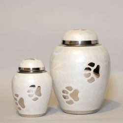 white-paw-together
